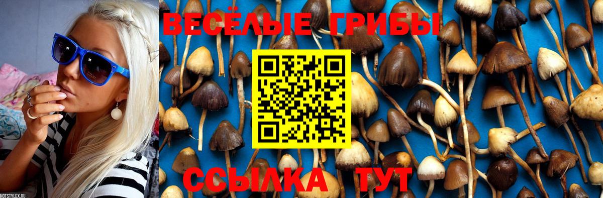 Галлюциногенные грибы Magic Shrooms Каменск-Уральский