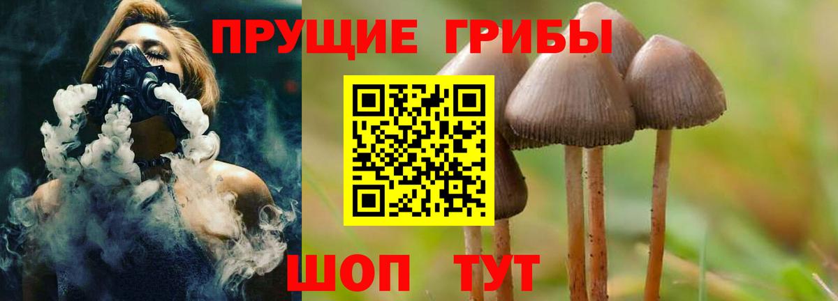 Псилоцибиновые грибы Psilocybe  как найти закладки  Галлюциногенные грибы мухоморы  Каменск-Уральский  Вход с VPN 